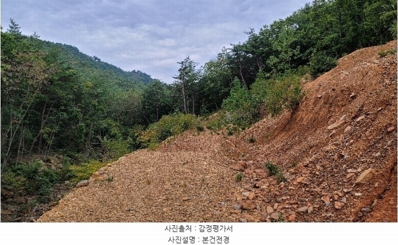 2024타경54159 강원특별자치도 강릉시 강동면 정동진리 산40 임야 경매 이미지