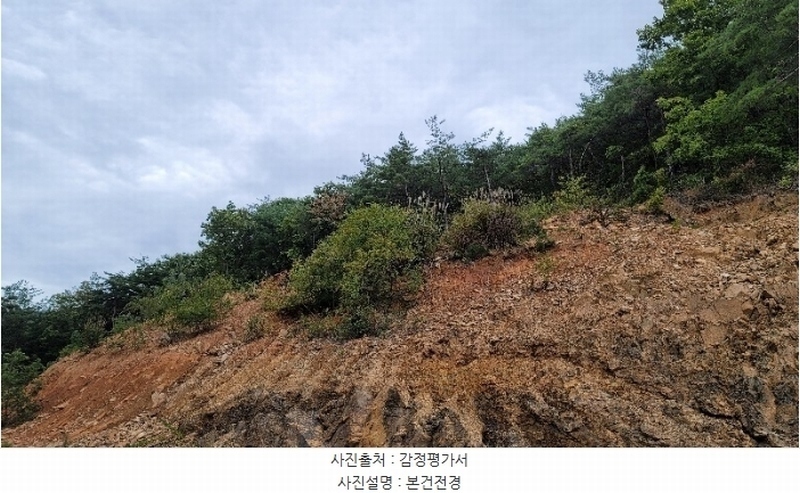 2024타경54159 강원특별자치도 강릉시 강동면 정동진리 산40 임야 경매 이미지