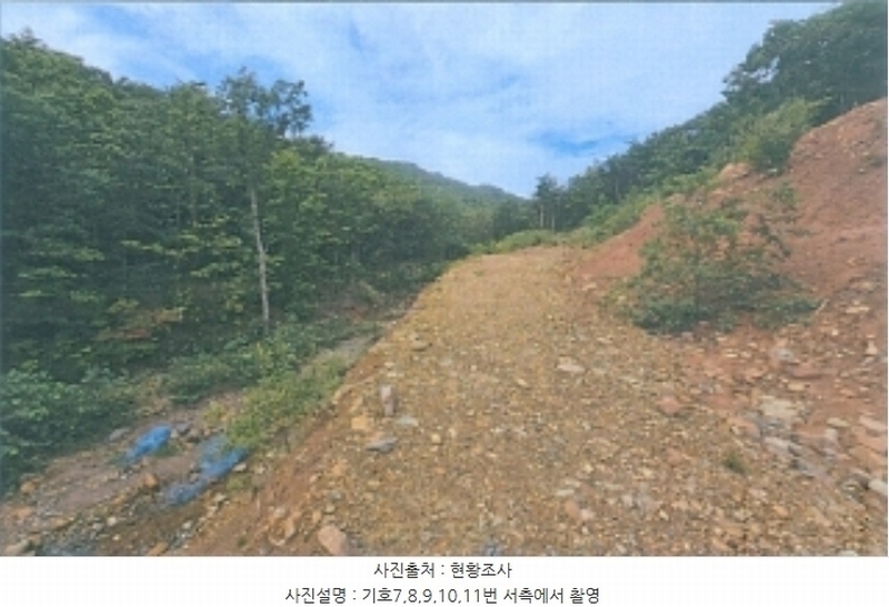 2024타경54159 강원특별자치도 강릉시 강동면 정동진리 산40 임야 경매 이미지