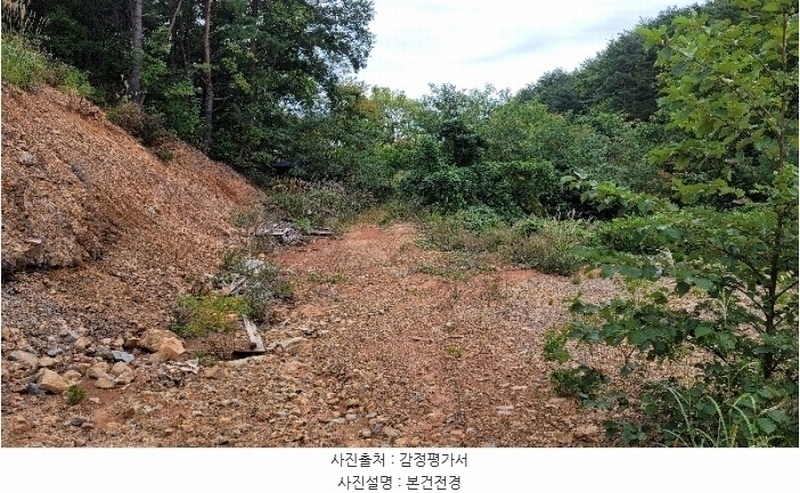 2024타경54159 강원특별자치도 강릉시 강동면 정동진리 산40 임야 경매 이미지