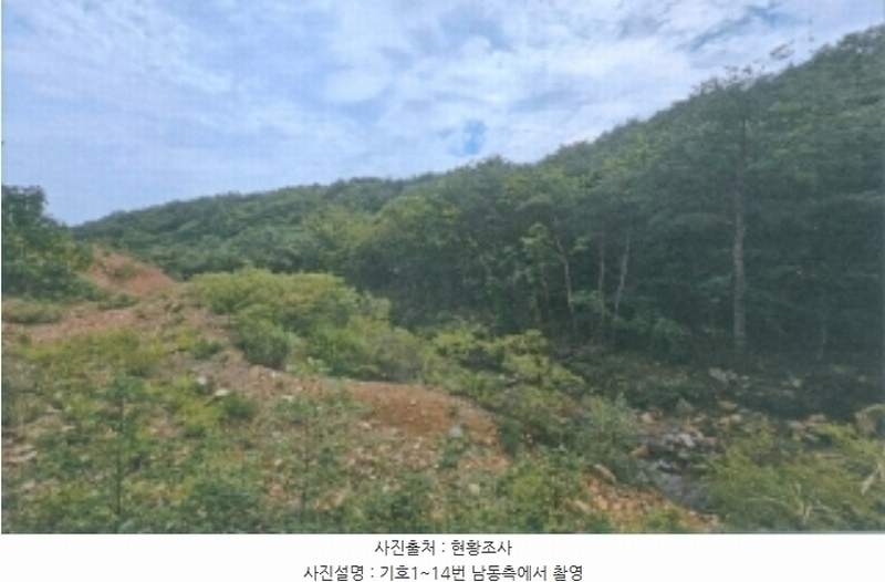 2024타경54159 강원특별자치도 강릉시 강동면 정동진리 산40 임야 경매 이미지