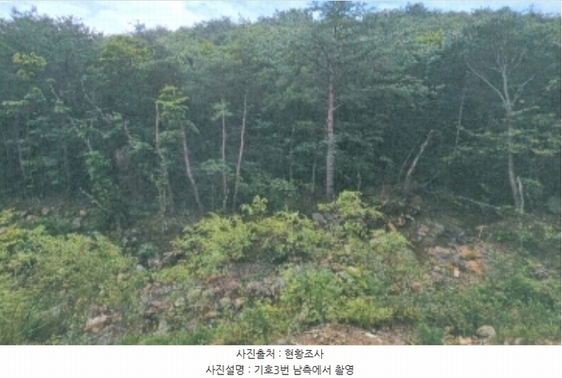 2024타경54159 강원특별자치도 강릉시 강동면 정동진리 산40 임야 경매 이미지