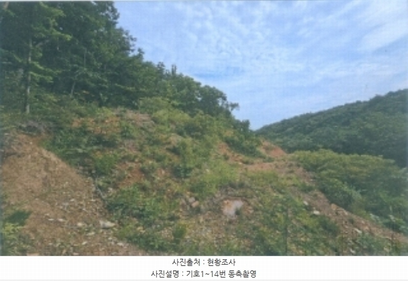 2024타경54159 강원특별자치도 강릉시 강동면 정동진리 산40 임야 경매 이미지