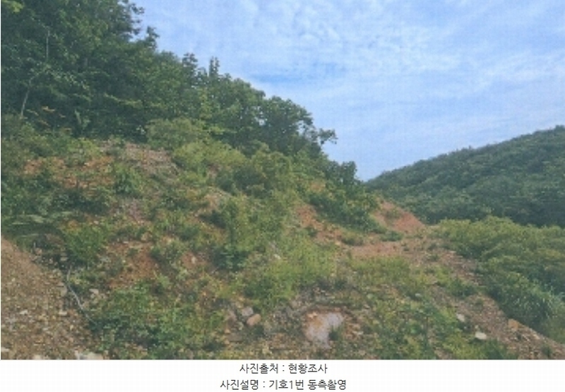 2024타경54159 강원특별자치도 강릉시 강동면 정동진리 산40 임야 경매 이미지