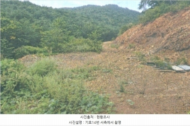 2024타경54159 강원특별자치도 강릉시 강동면 정동진리 산40 임야 경매 이미지