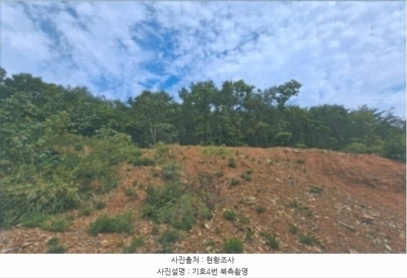 2024타경54159 강원특별자치도 강릉시 강동면 정동진리 산40 임야 경매 이미지