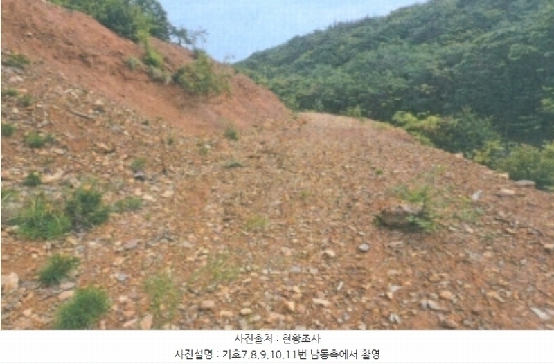 2024타경54159 강원특별자치도 강릉시 강동면 정동진리 산40 임야 경매 이미지