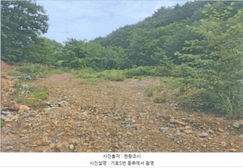 2024타경54159 강원특별자치도 강릉시 강동면 정동진리 산40 임야 경매 이미지