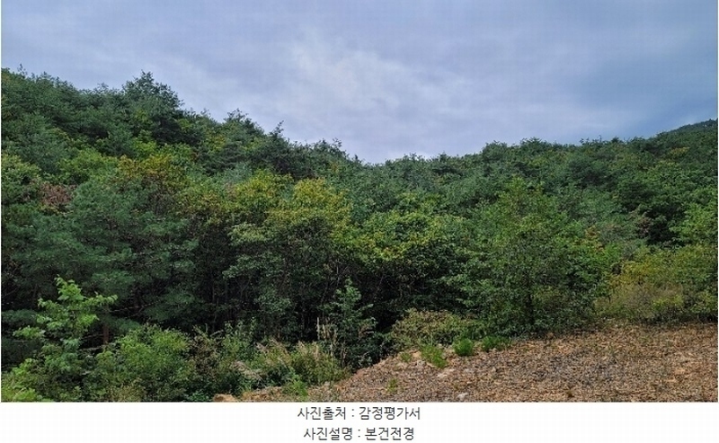 2024타경54159 강원특별자치도 강릉시 강동면 정동진리 산40 임야 경매 이미지