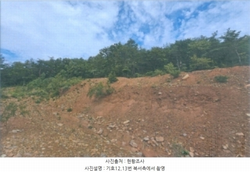 2024타경54159 강원특별자치도 강릉시 강동면 정동진리 산40 임야 경매 이미지