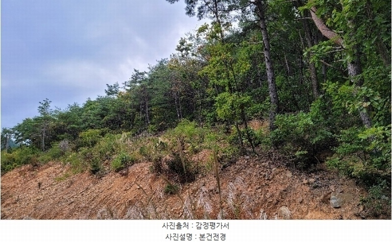 2024타경54159 강원특별자치도 강릉시 강동면 정동진리 산40 임야 경매 이미지