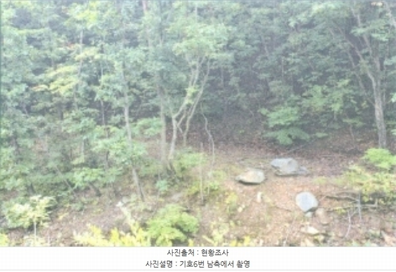 2024타경54159 강원특별자치도 강릉시 강동면 정동진리 산40 임야 경매 이미지