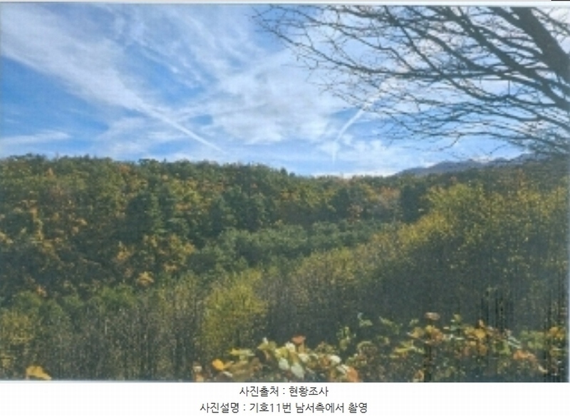 2024타경54937 강원특별자치도 강릉시 구정면 어단리 1033 임야 경매 이미지
