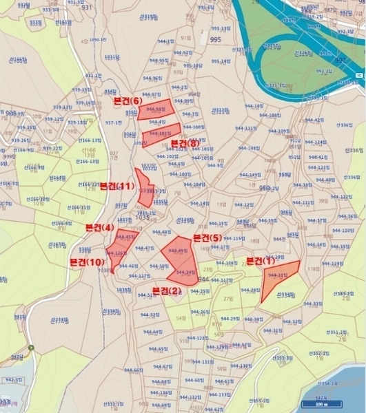 2024타경54937 강원특별자치도 강릉시 구정면 어단리 1033 임야 경매 이미지
