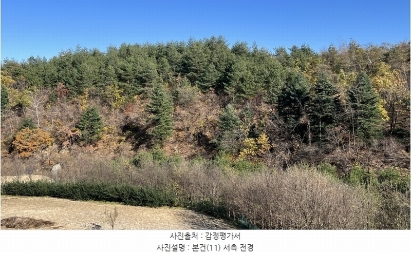 2024타경54937 강원특별자치도 강릉시 구정면 어단리 1033 임야 경매 이미지