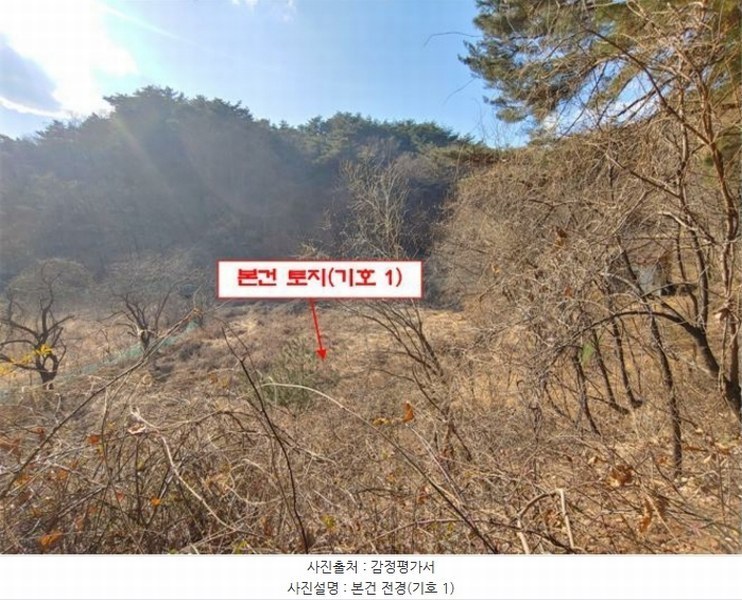 2024타경55510 강원특별자치도 강릉시 지변동 199-1 농지 경매 이미지