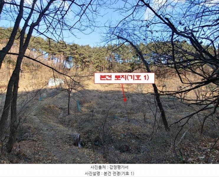 2024타경55510 강원특별자치도 강릉시 지변동 199-1 농지 경매 이미지