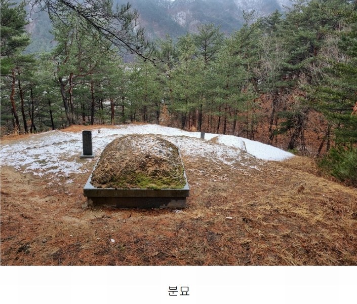 2025타경30105 강원특별자치도 강릉시 연곡면 퇴곡리 산198-1 임야 경매 이미지