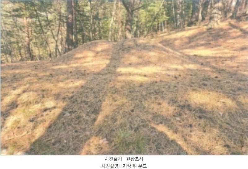 2025타경30105 강원특별자치도 강릉시 연곡면 퇴곡리 산198-1 임야 경매 이미지
