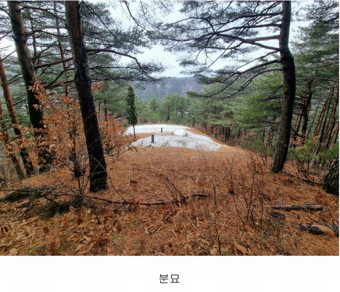 2025타경30105 강원특별자치도 강릉시 연곡면 퇴곡리 산198-1 임야 경매 이미지