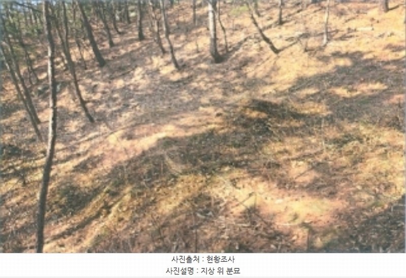 2025타경30105 강원특별자치도 강릉시 연곡면 퇴곡리 산198-1 임야 경매 이미지