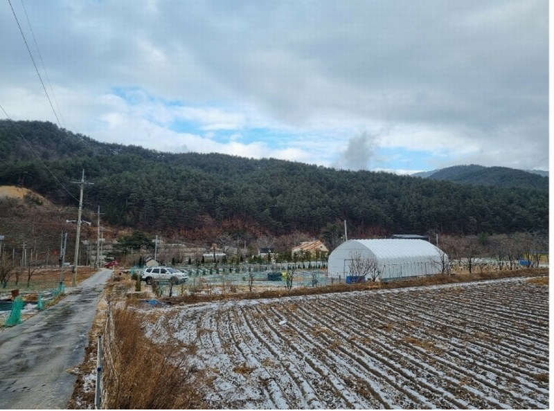 2025타경30105 강원특별자치도 강릉시 연곡면 퇴곡리 산198-1 임야 경매 이미지