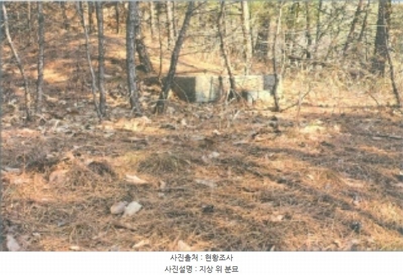2025타경30105 강원특별자치도 강릉시 연곡면 퇴곡리 산198-1 임야 경매 이미지