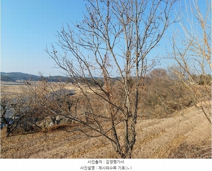 2025타경30181 경상남도 사천시 서포면 선전리 649 농지 경매 이미지