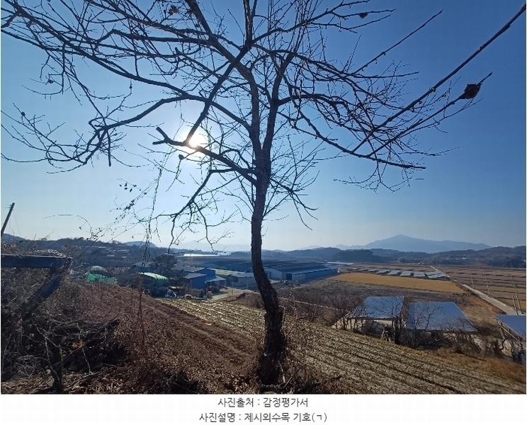 2025타경30181 경상남도 사천시 서포면 선전리 649 농지 경매 이미지