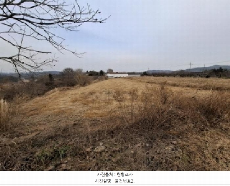 2025타경30181 경상남도 사천시 서포면 선전리 649 농지 경매 이미지