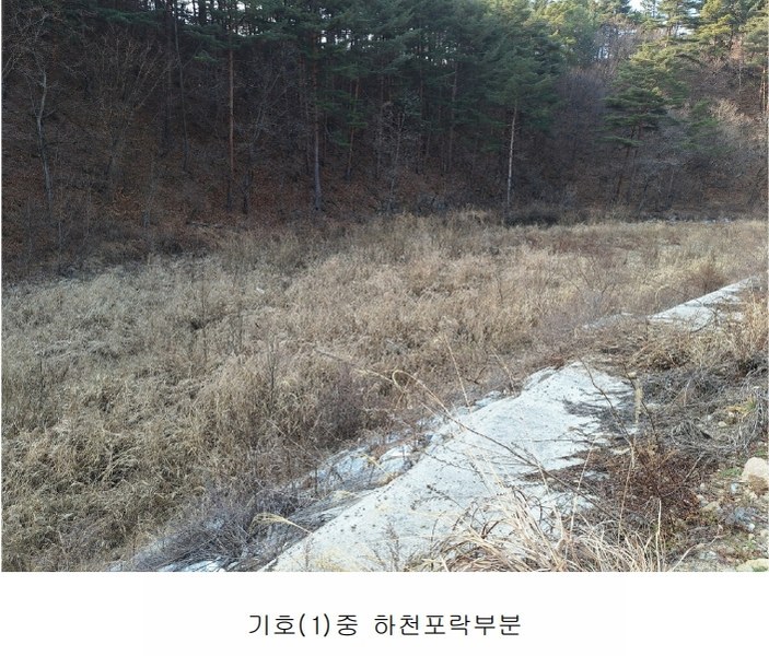 2025타경30273 강원특별자치도 삼척시 원덕읍 옥원리 산115 임야 경매 이미지
