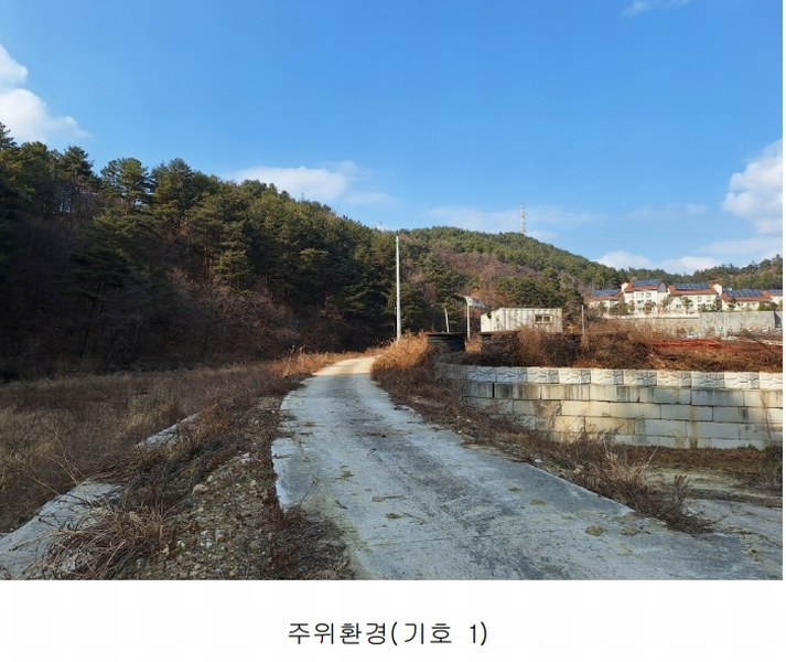 2025타경30273 강원특별자치도 삼척시 원덕읍 옥원리 산115 임야 경매 이미지