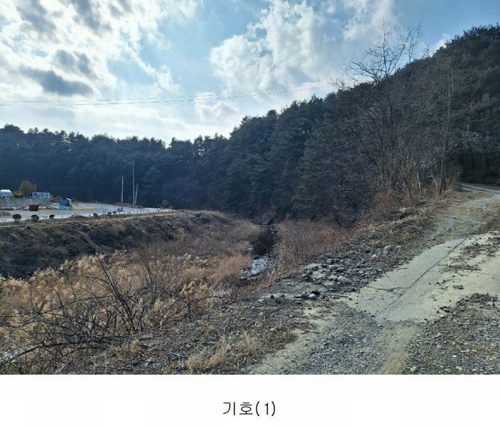 2025타경30273 강원특별자치도 삼척시 원덕읍 옥원리 산115 임야 경매 이미지