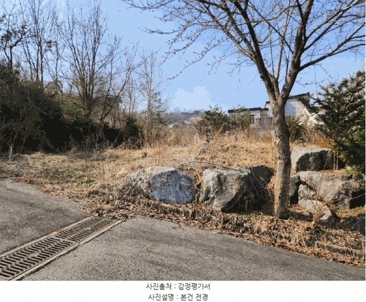 2025타경30444 충청북도 음성군 감곡면 오궁리 460-27 임야 경매 이미지