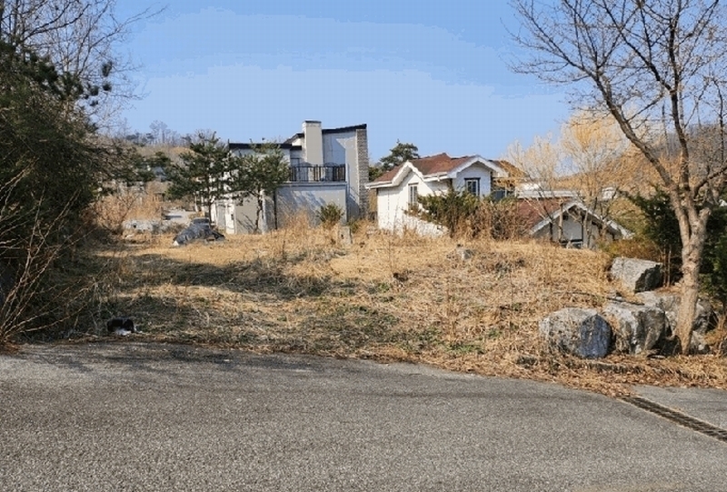 2025타경30444 충청북도 음성군 감곡면 오궁리 460-27 임야 경매 이미지