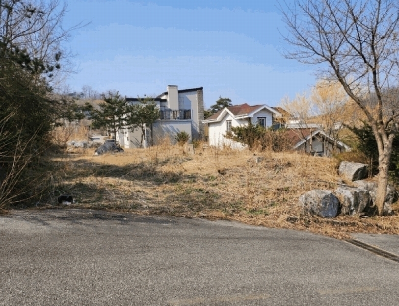 2025타경30444 충청북도 음성군 감곡면 오궁리 460-27 임야 경매 이미지