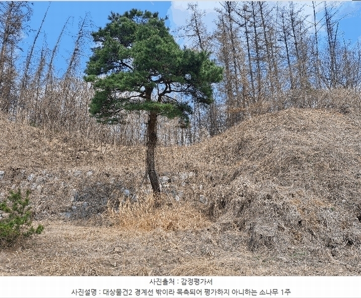 2025타경30448 충청북도 음성군 금왕읍 내송리 70-16 임야 경매 이미지
