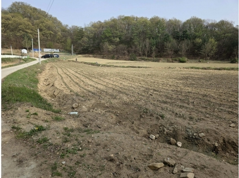 2025타경30457 충청북도 음성군 삼성면 대사리 21-1 농지 경매 이미지