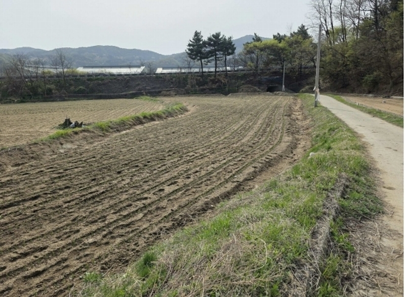 2025타경30457 충청북도 음성군 삼성면 대사리 21-1 농지 경매 이미지