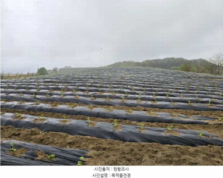 2025타경30475 충청북도 음성군 삼성면 덕정리 197 농지 경매 이미지