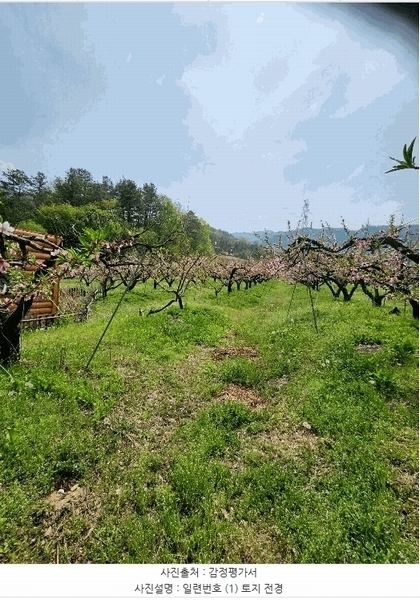 2025타경30490 충청북도 충주시 앙성면 능암리 597 잡종지 경매 이미지