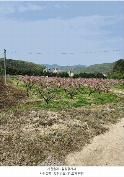 2025타경30490 충청북도 충주시 앙성면 능암리 597 잡종지 경매 이미지