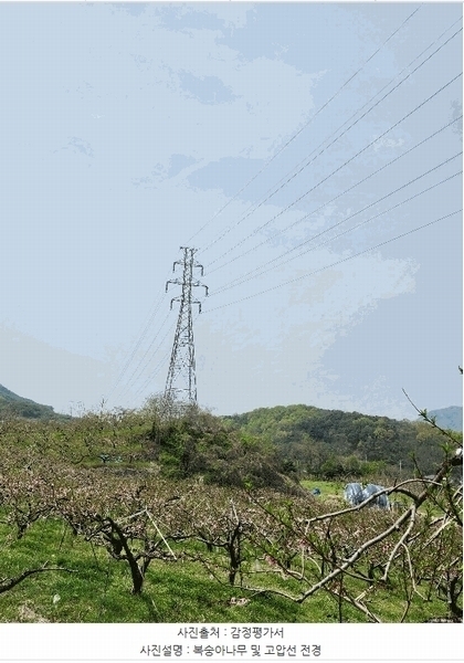 2025타경30490 충청북도 충주시 앙성면 능암리 597 잡종지 경매 이미지