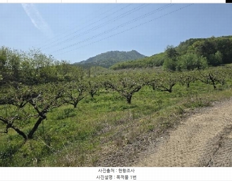 2025타경30490 충청북도 충주시 앙성면 능암리 597 잡종지 경매 이미지