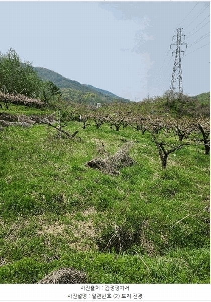2025타경30490 충청북도 충주시 앙성면 능암리 597 잡종지 경매 이미지