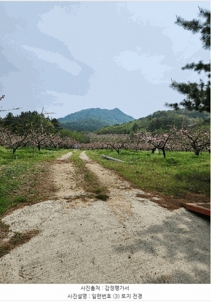 2025타경30490 충청북도 충주시 앙성면 능암리 597 잡종지 경매 이미지