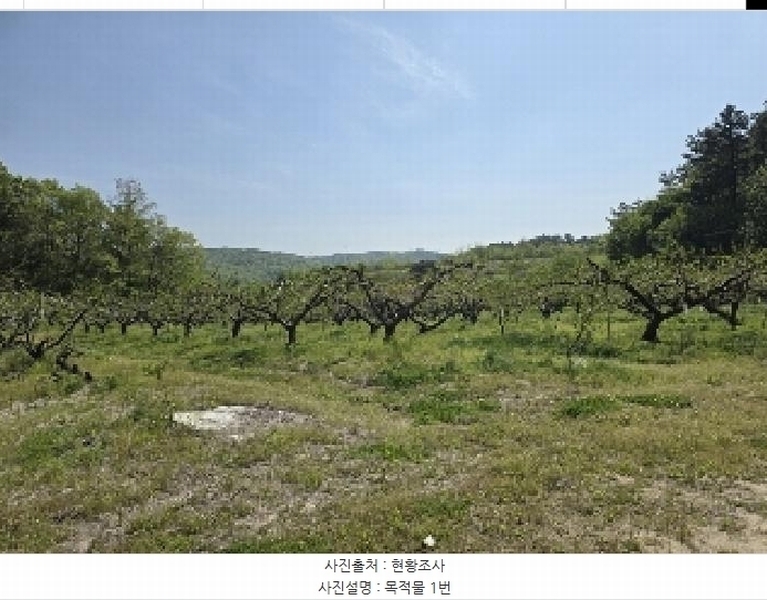 2025타경30490 충청북도 충주시 앙성면 능암리 597 잡종지 경매 이미지