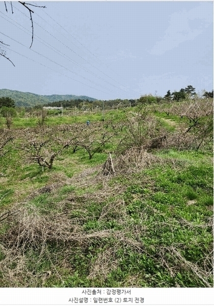 2025타경30490 충청북도 충주시 앙성면 능암리 597 잡종지 경매 이미지