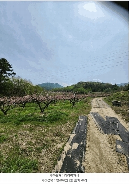 2025타경30490 충청북도 충주시 앙성면 능암리 597 잡종지 경매 이미지