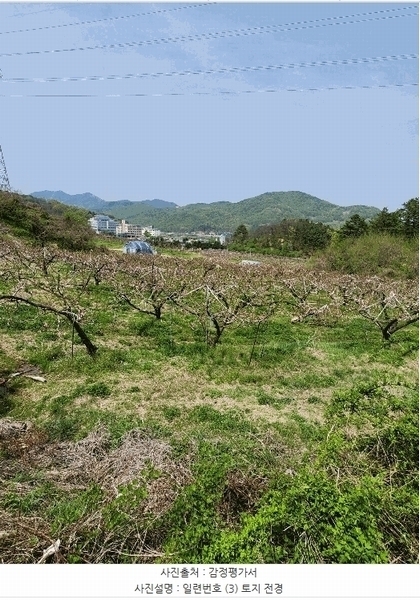 2025타경30490 충청북도 충주시 앙성면 능암리 597 잡종지 경매 이미지